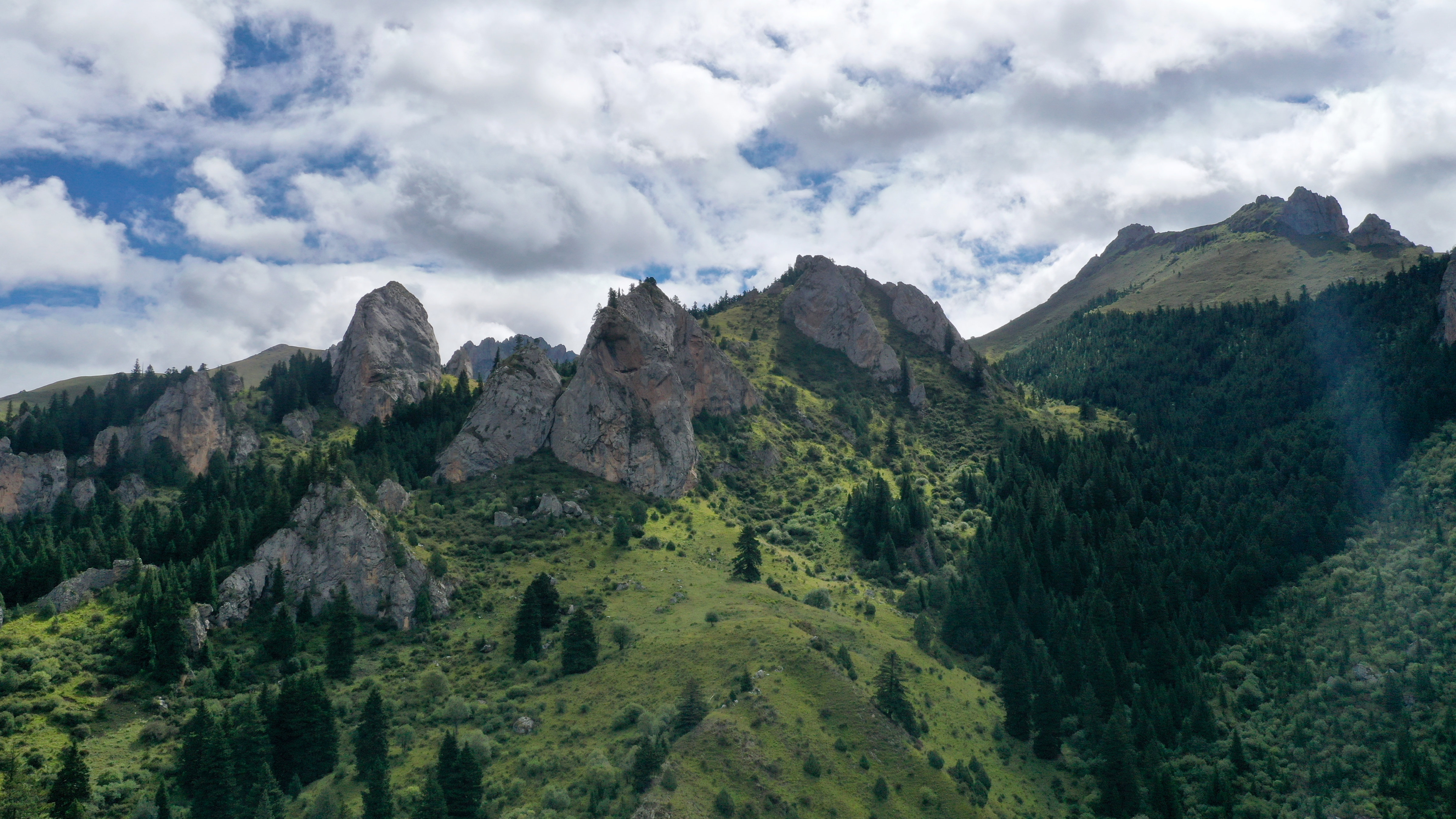 灏曟捣鍒欏矓鐭虫灄,椋為槄鐭虫煴
