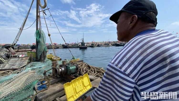 半岛聚焦丨从网捕到上码头仅1小时,最新鲜的“小船海鲜”怎么捕来的?