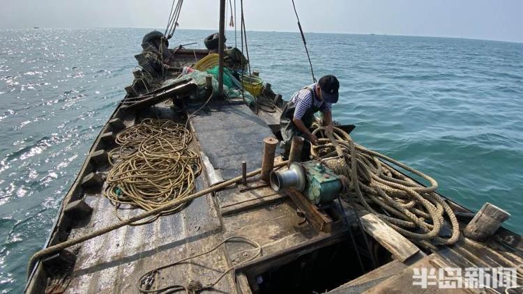 半岛聚焦丨从网捕到上码头仅1小时,最新鲜的“小船海鲜”怎么捕来的?