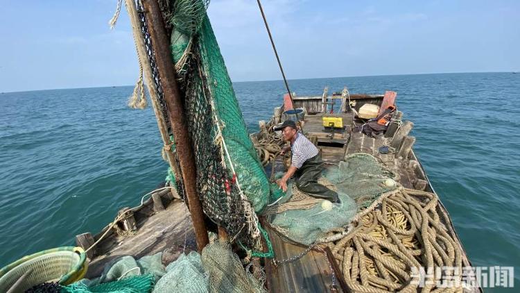 半岛聚焦丨从网捕到上码头仅1小时,最新鲜的“小船海鲜”怎么捕来的?