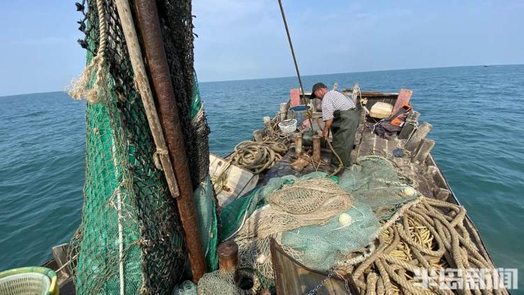 半岛聚焦丨从网捕到上码头仅1小时,最新鲜的“小船海鲜”怎么捕来的?