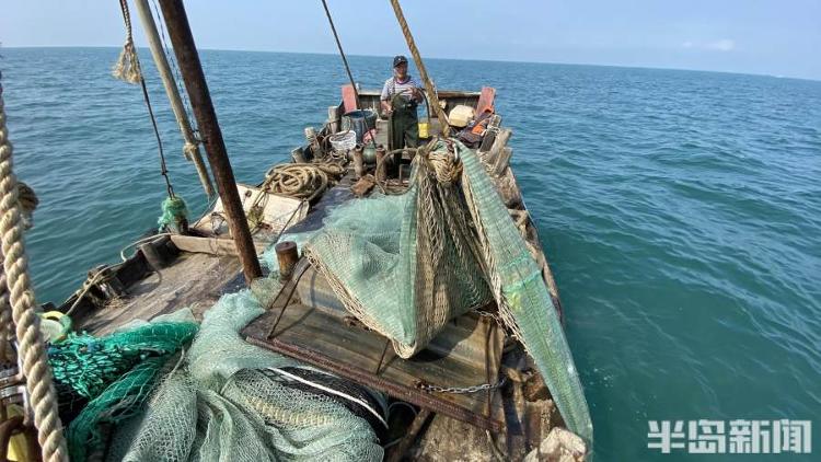半岛聚焦丨从网捕到上码头仅1小时,最新鲜的“小船海鲜”怎么捕来的?
