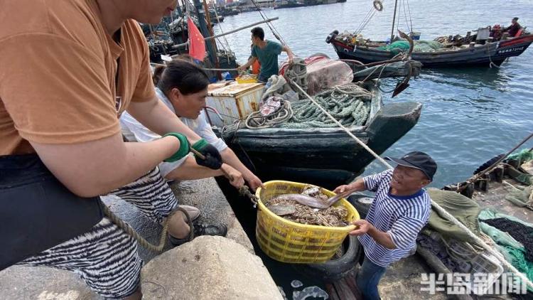 半岛聚焦丨从网捕到上码头仅1小时,最新鲜的“小船海鲜”怎么捕来的?