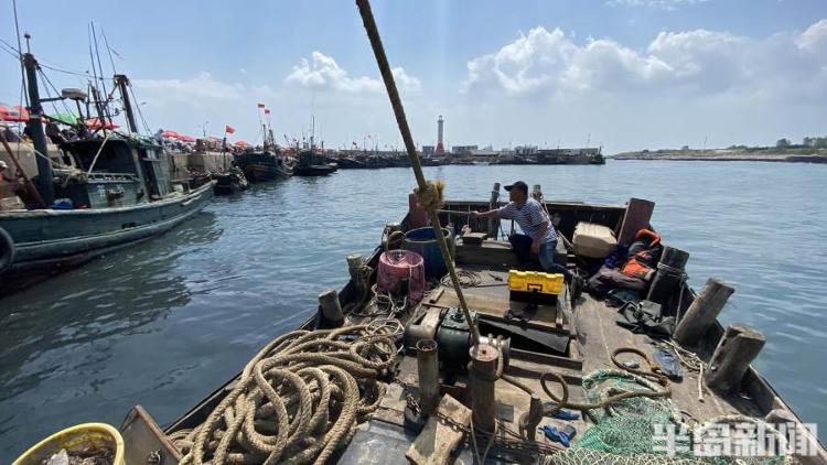 半岛聚焦丨从网捕到上码头仅1小时,最新鲜的“小船海鲜”怎么捕来的?