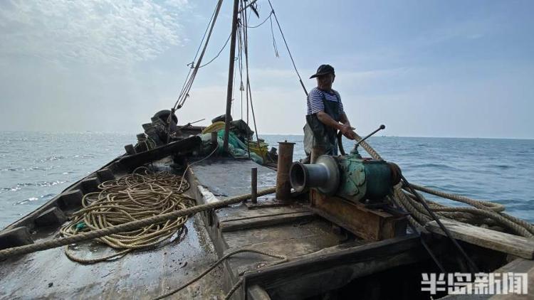 半岛聚焦丨从网捕到上码头仅1小时,最新鲜的“小船海鲜”怎么捕来的?