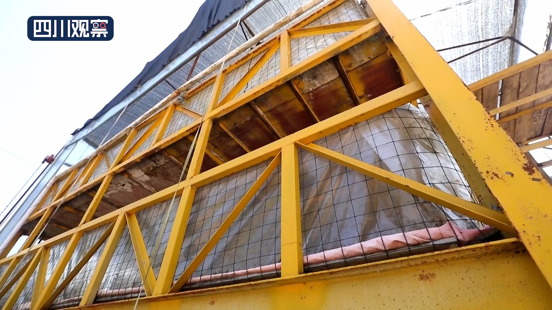 在希望的田野上杨淑清原声版,在希望的田野上杨青青