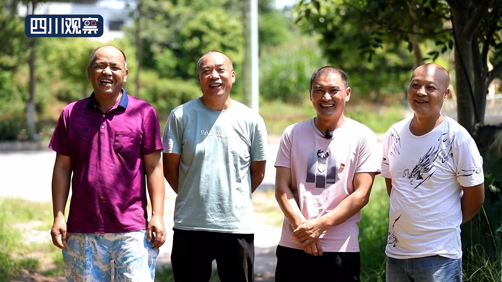 在希望的田野上杨淑清原声版,在希望的田野上杨青青