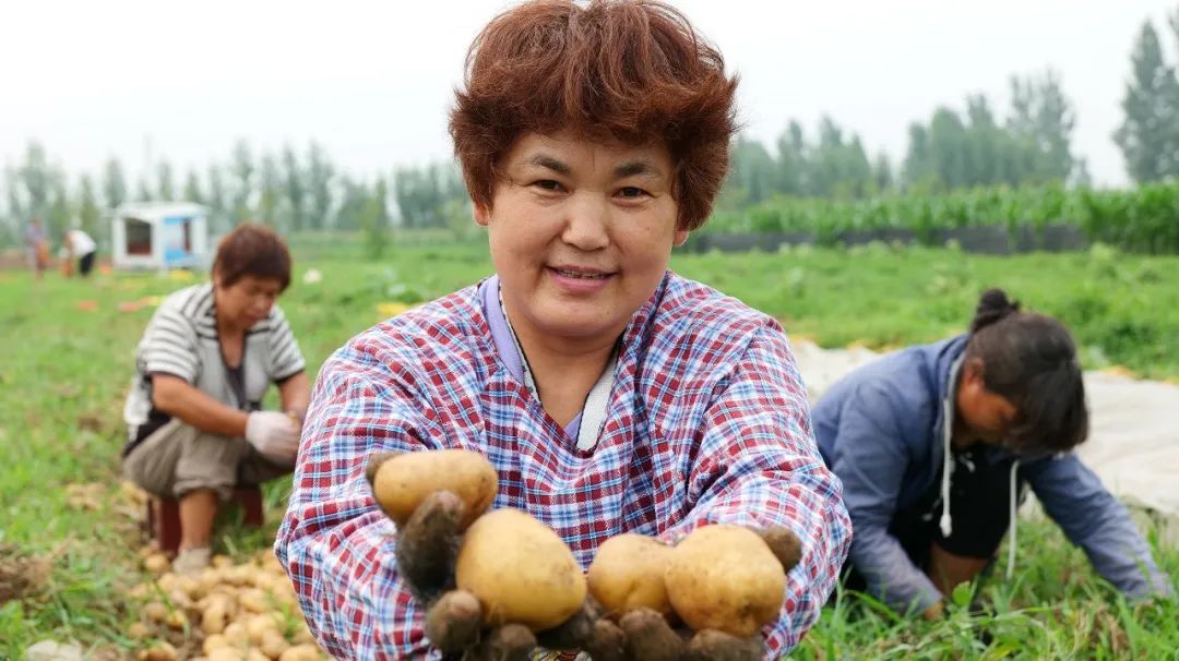 这是你和我都爱的城市,沁阳