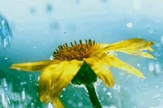 上厕所用湿纸巾擦有什么好处,上完厕所有纸巾正确擦法