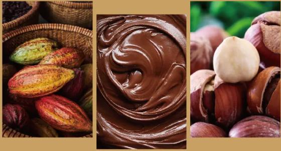 布歌东京巧克力是什么档次,布歌东京月饼型巧克力