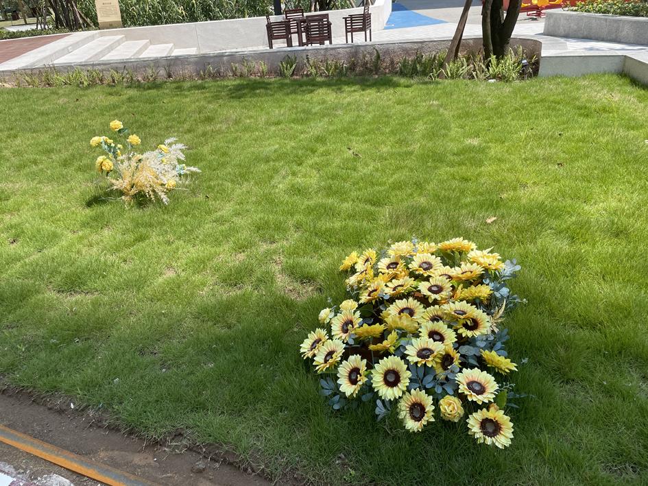 重庆楼盘质量问题,重庆最新楼盘质量问题