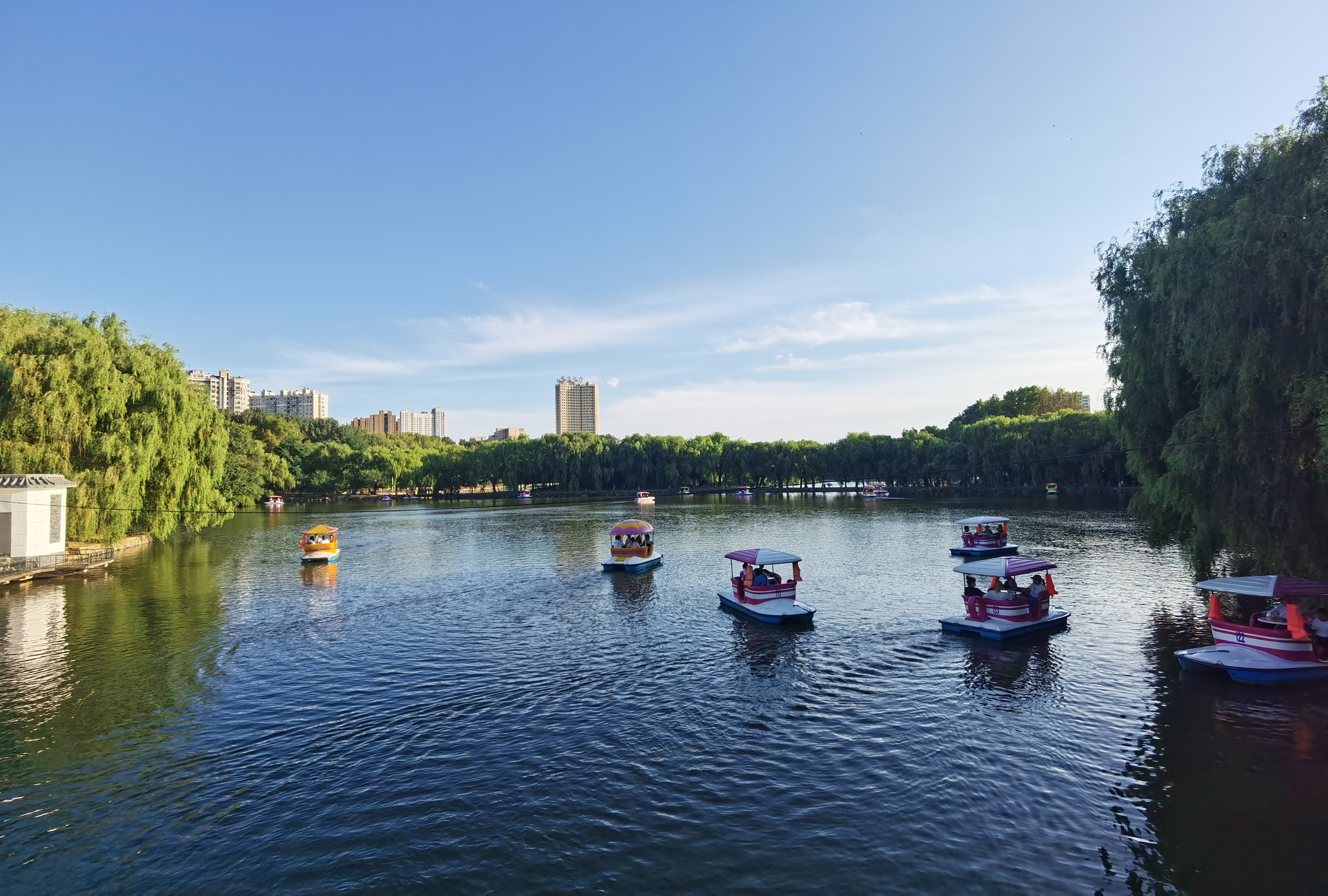 网格化志愿服务助力文明城市创建,助力文明城市创建志愿者上街劝导