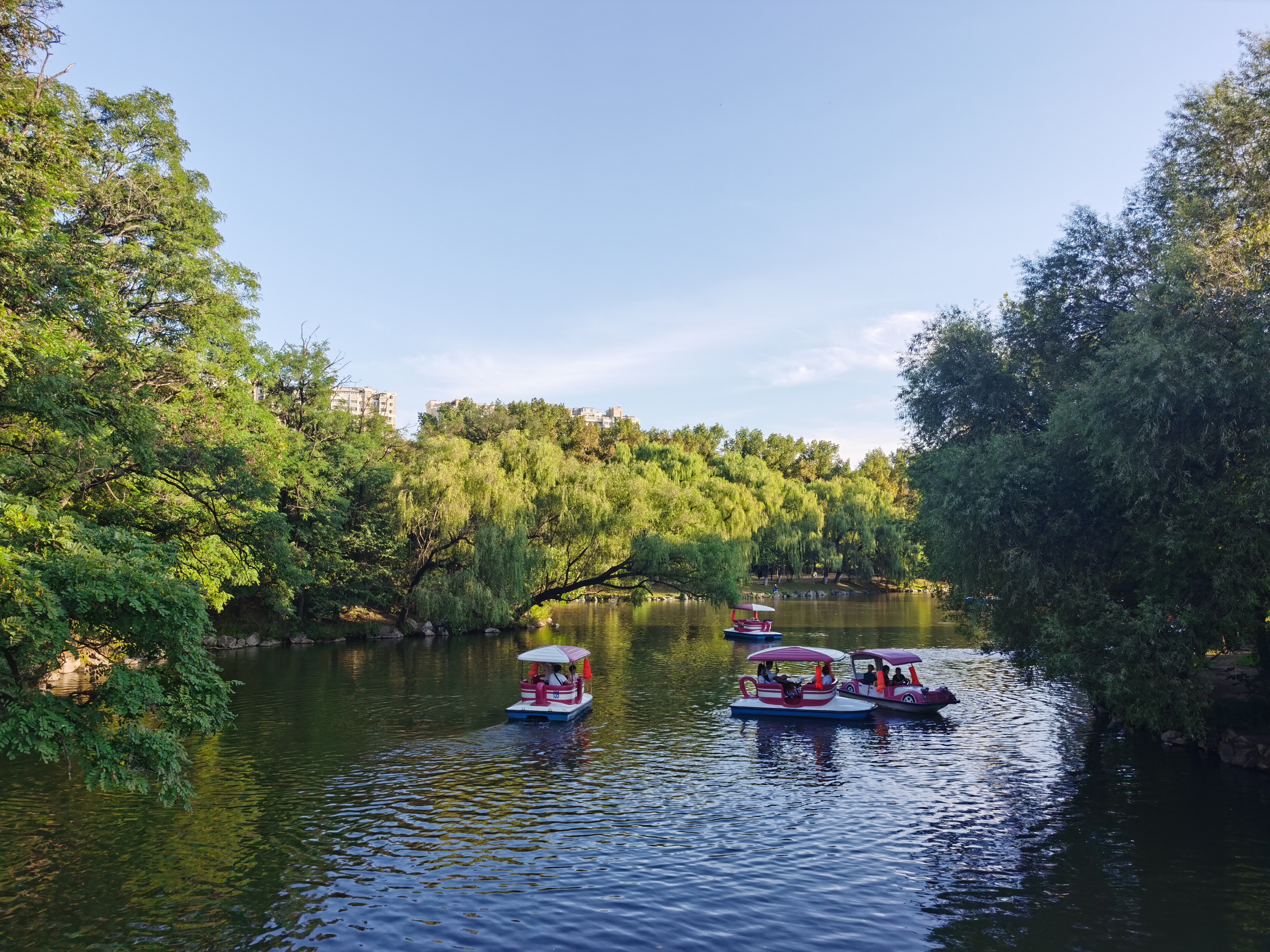 网格化志愿服务助力文明城市创建,助力文明城市创建志愿者上街劝导