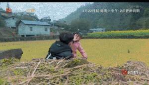 农村孩子被送到城里变形记,那些被变形计带坏的农村小孩