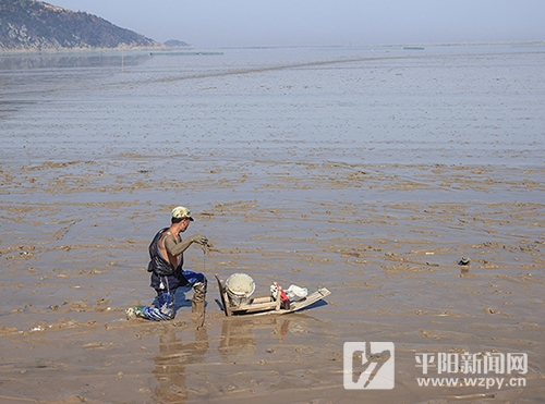 渔趣网二手钓竿,渔趣2.5