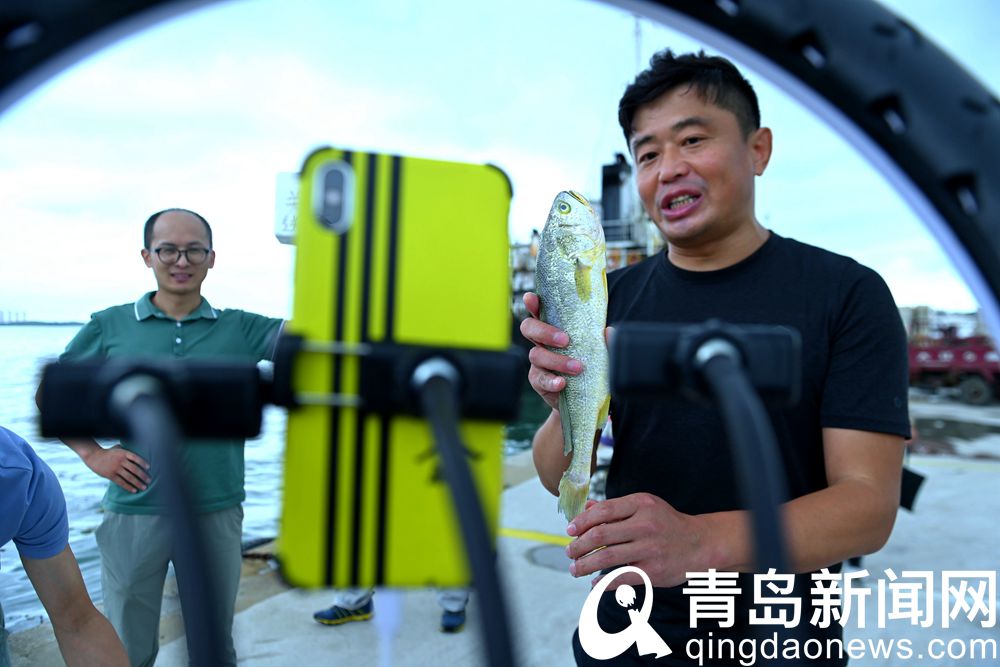 青岛海鲜直播七鲜海汇卖货,青岛海鲜水产直播卖货