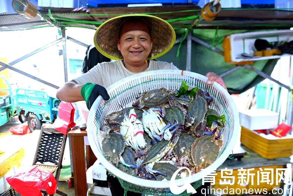 青岛海鲜直播七鲜海汇卖货,青岛海鲜水产直播卖货