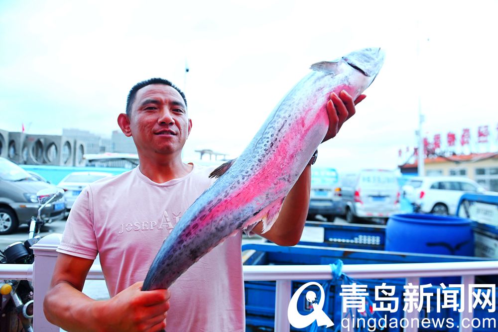 青岛海鲜直播七鲜海汇卖货,青岛海鲜水产直播卖货