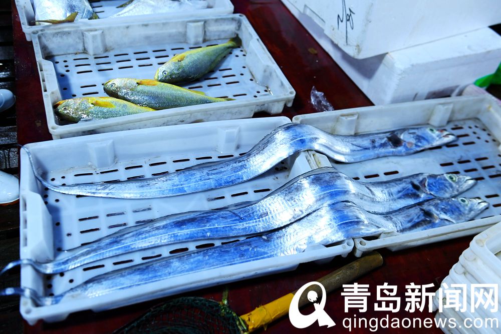 青岛海鲜直播七鲜海汇卖货,青岛海鲜水产直播卖货