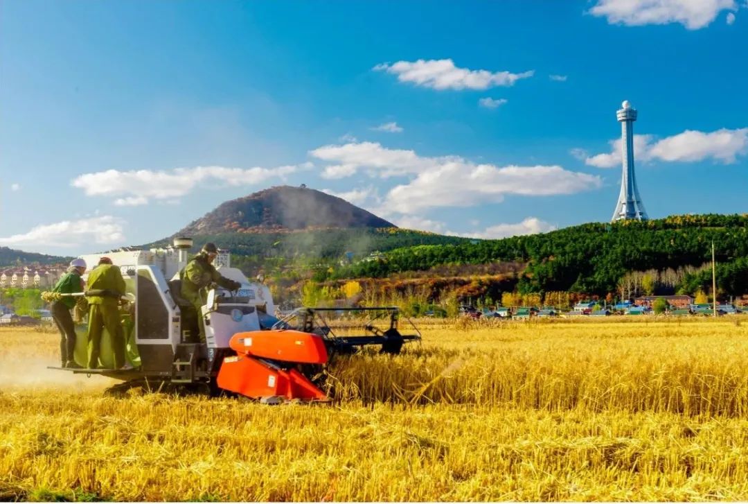 回眸奋进路开启新征程