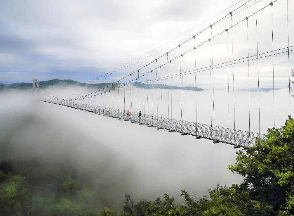 回眸奋进路开启新征程