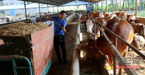 村集体经济增收的思路和办法汇报,村集体经济增收渠道
