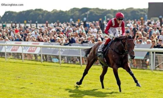 十大最强马匹排名,三马摩托车排行榜