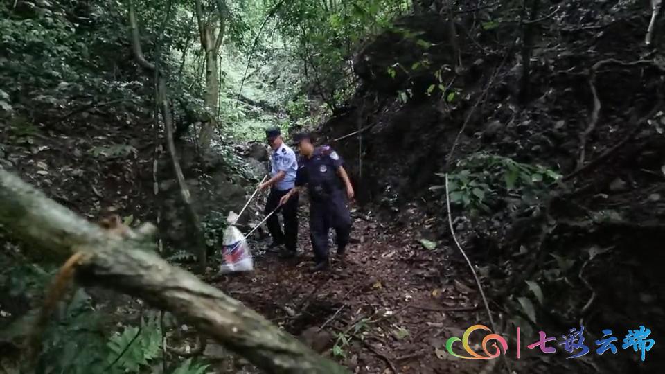 西双版纳热带雨林里有哪些毒水蛇,福建眼镜蛇是国家几级保护动物