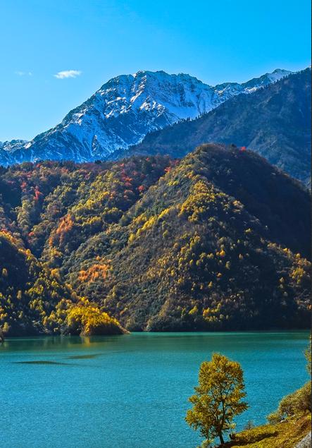 平武有“六度”,专治各种不舒服