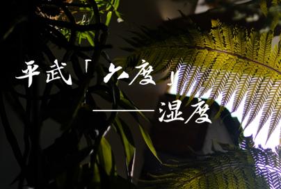 平武有“六度”,专治各种不舒服