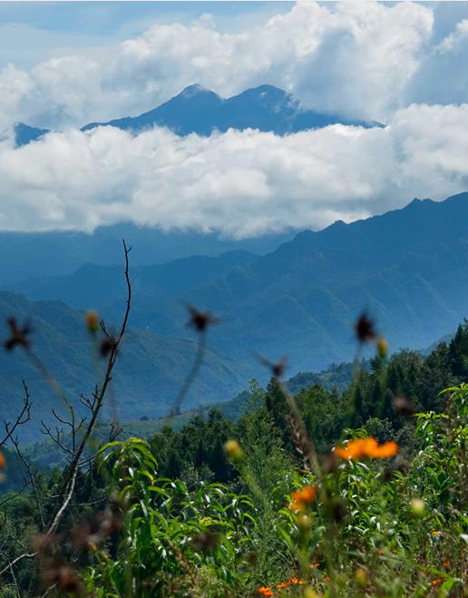 平武有“六度”,专治各种不舒服