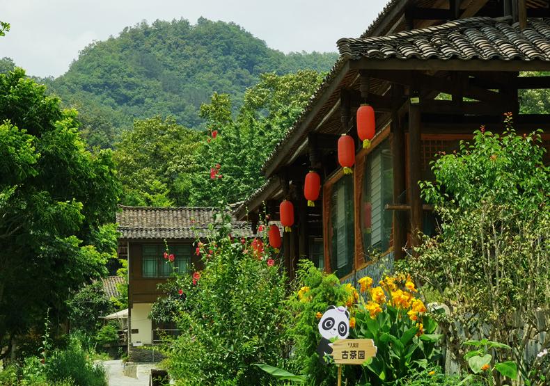 平武有“六度”，专治各种不舒服