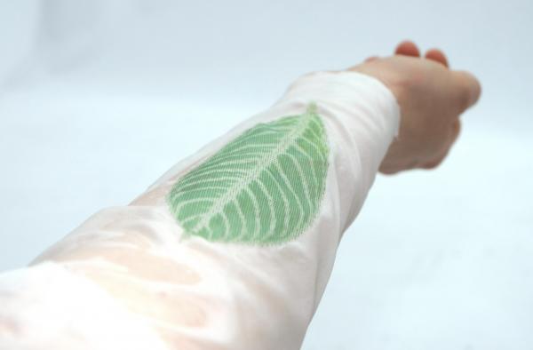 制作植物形状的日历,关于植物做成的日历