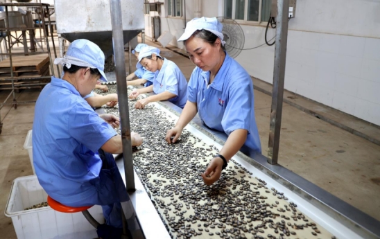 团风:绿色健康食品加工业风生水起