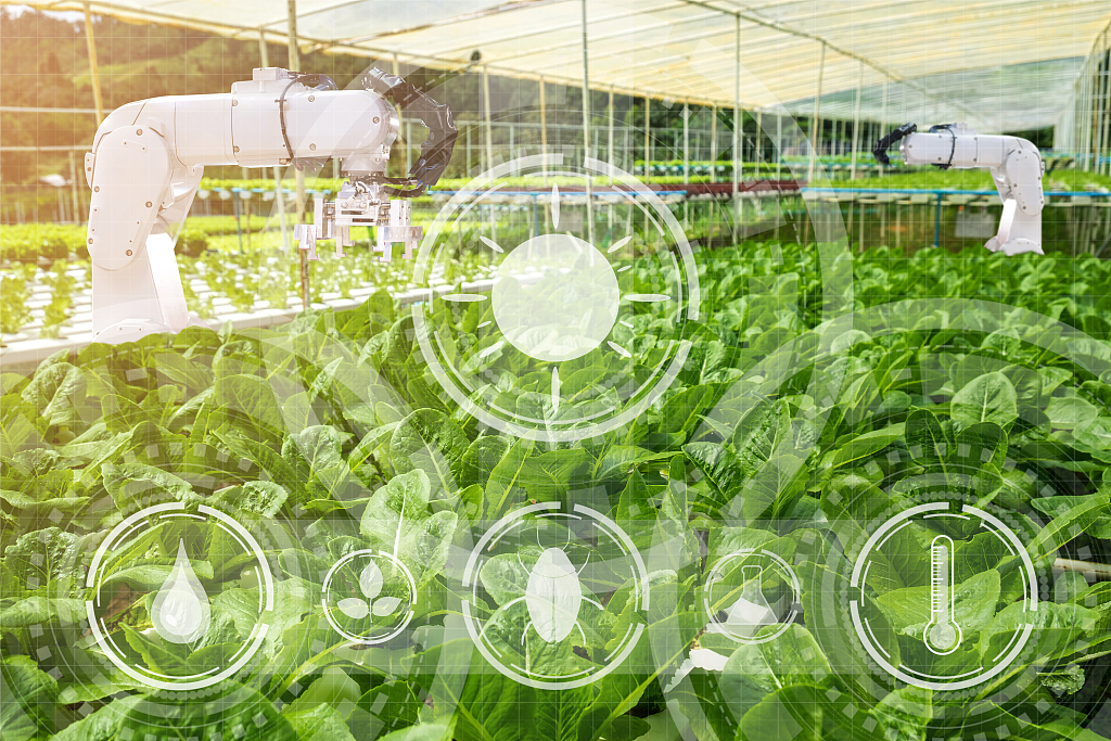 同比增长9.7%!上半年江苏农业实际使用外资2.83亿美元