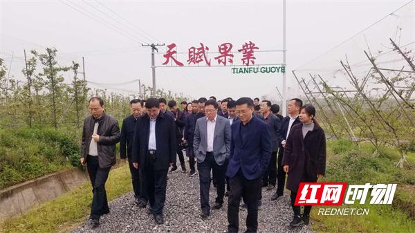 桃源村发展,村企共建显成效齐头并进迎新年