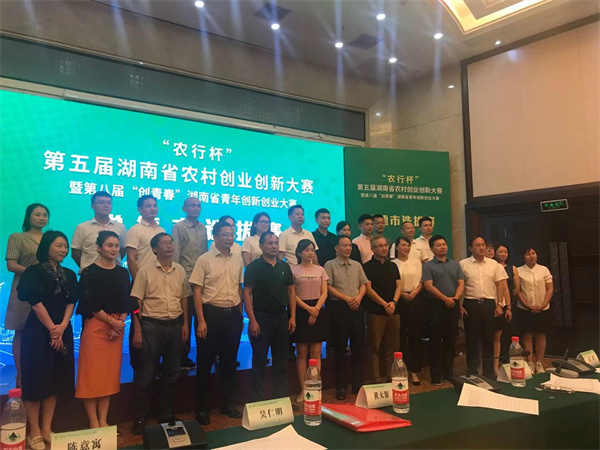 桃源村发展,村企共建显成效齐头并进迎新年