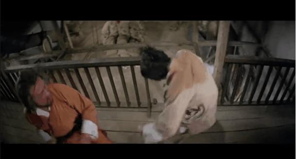 赵文卓翻红的原因有哪些,赵文卓翻红甄子丹在何处