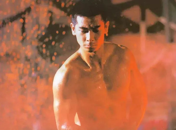 赵文卓翻红的原因有哪些,赵文卓翻红甄子丹在何处