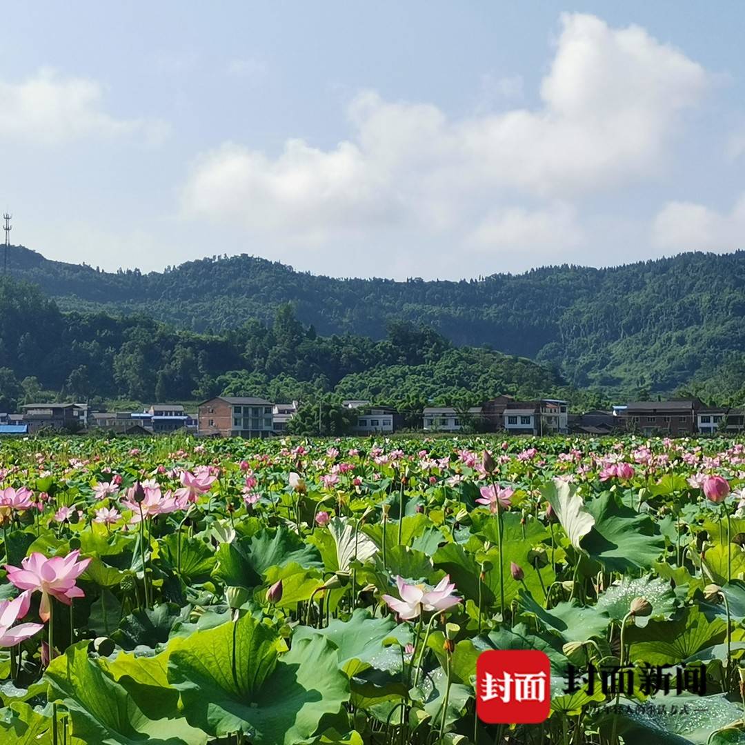2022年四川党代会召开时间,开江党代会提出实施七大工程
