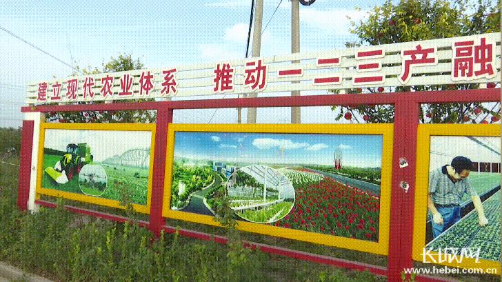 河北故城:科技“硬实力”+农旅“软文化”打造乡村振兴新引擎