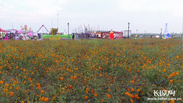 河北故城:科技“硬实力”+农旅“软文化”打造乡村振兴新引擎