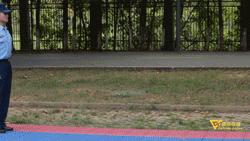 军训指南来了,教官指南