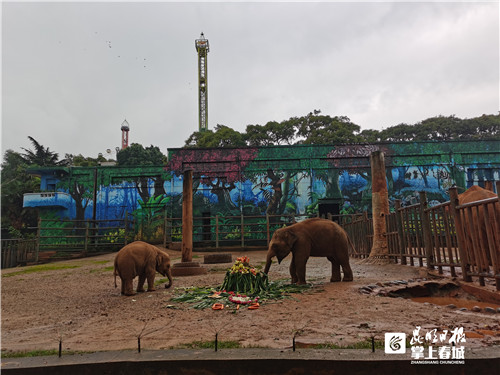 国庆亲子旅游景点推荐昆明,国庆旅游景点推荐昆明周边