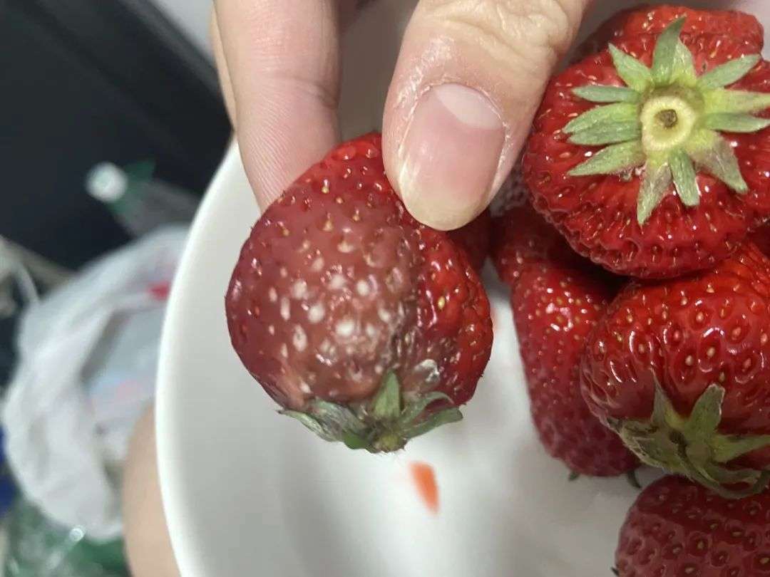 90后爆锤黑心商家:有因必有果,你的报应就是我