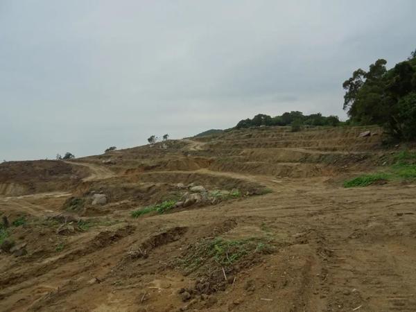 江门下川岛酒店,江门台山下川岛酒店