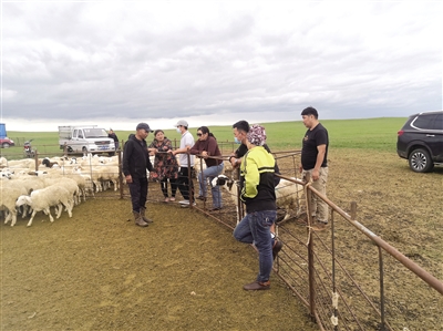 在志愿服务中诠释青春担当——呼伦贝尔市各级团组织扎实开展“我为群众办实事”实践活动