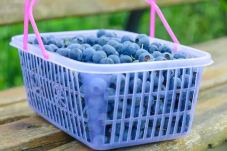 贵州丰收节有什么好吃的,贵州有哪些值得品尝的美食最新