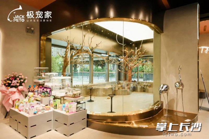 宠物店的爱马仕来了，极宠家华中首店落户长沙