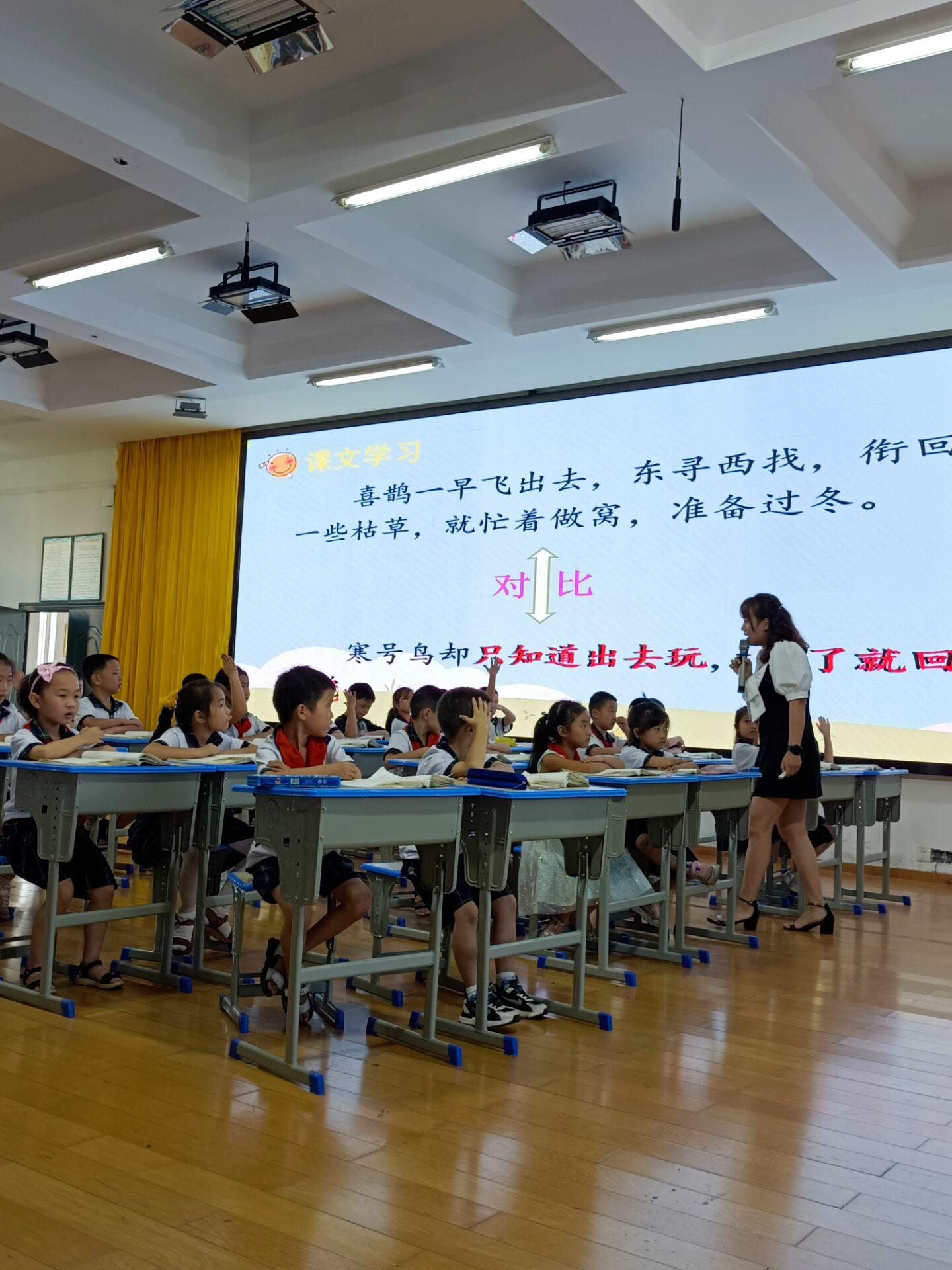 小学语文新教师见面课简报,新教师公开课展示美篇